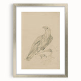 Abstract Grunge Eagle Sketch - Vintage Bird Wall Art Print