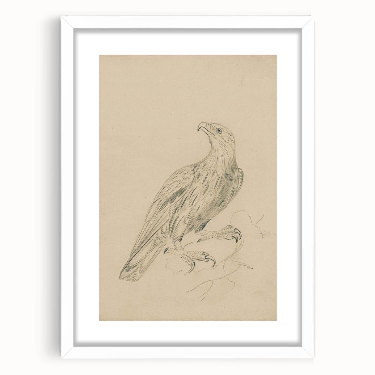 Abstract Grunge Eagle Sketch - Vintage Bird Wall Art Print