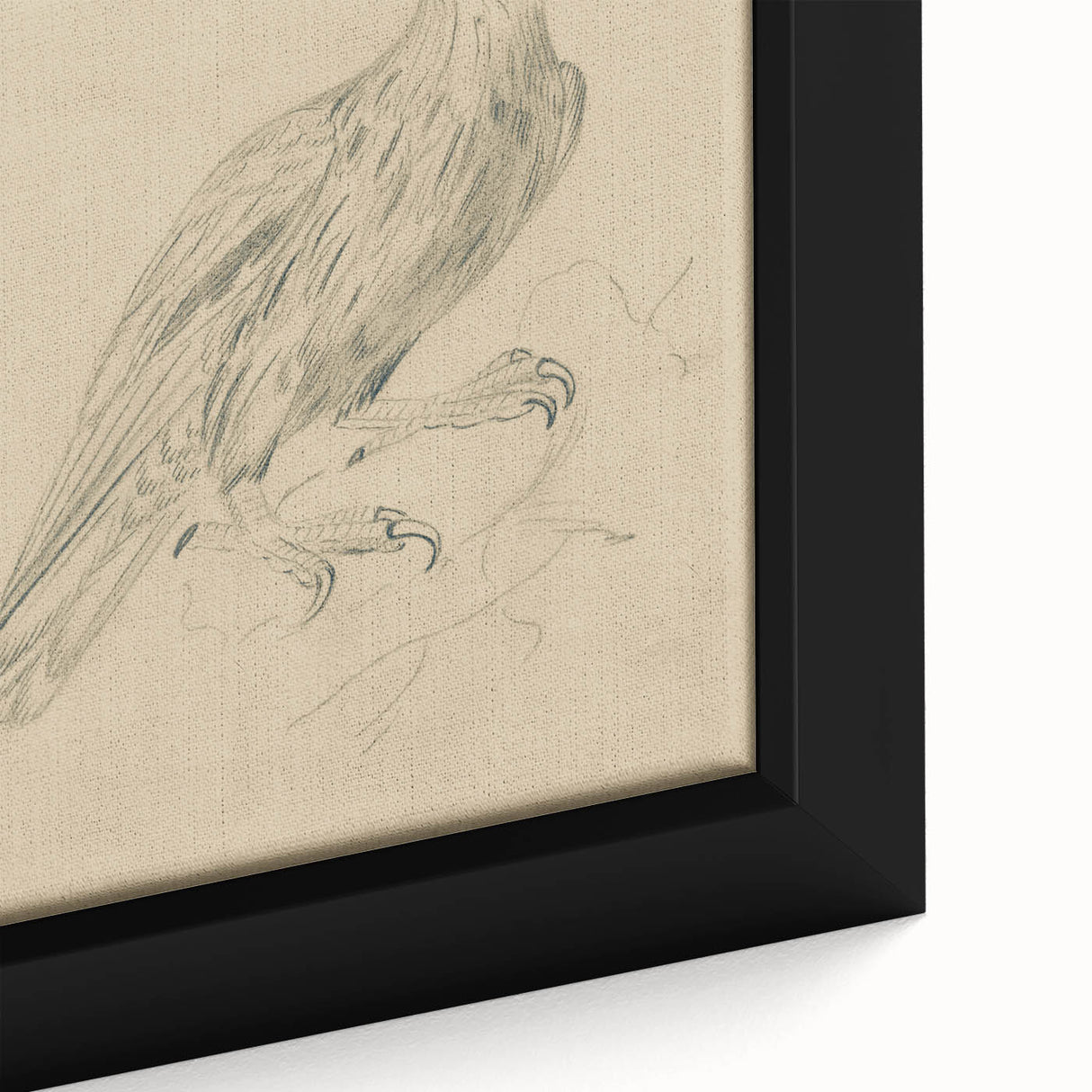 Abstract Grunge Eagle Sketch - Vintage Bird Wall Art Print