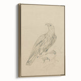 Abstract Grunge Eagle Sketch - Vintage Bird Wall Art Print