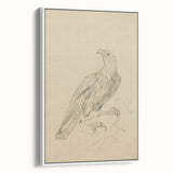 Abstract Grunge Eagle Sketch - Vintage Bird Wall Art Print