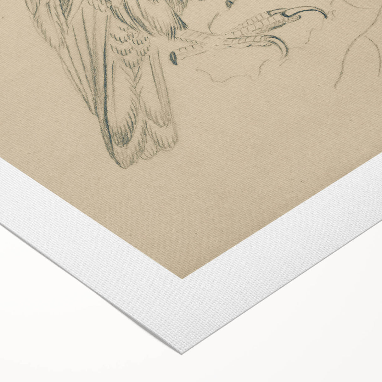 Abstract Grunge Eagle Sketch - Vintage Bird Wall Art Print