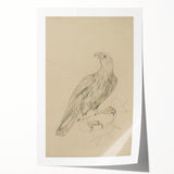 Abstract Grunge Eagle Sketch - Vintage Bird Wall Art Print