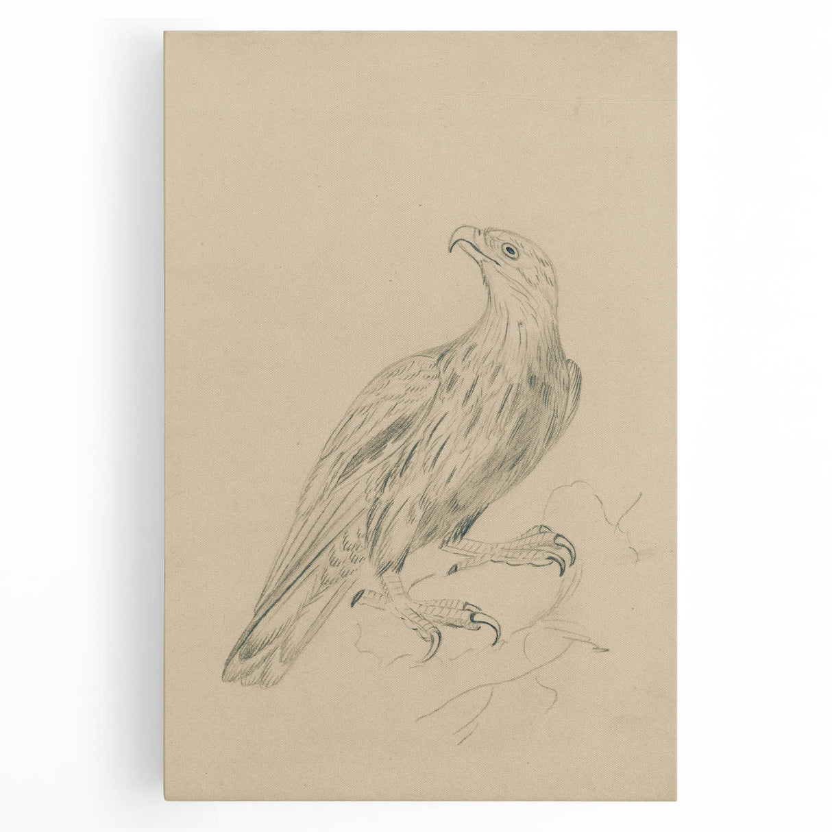 Abstract Grunge Eagle Sketch - Vintage Bird Wall Art Print
