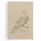 Abstract Grunge Eagle Sketch - Vintage Bird Wall Art Print