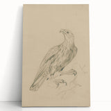 Abstract Grunge Eagle Sketch - Vintage Bird Wall Art Print