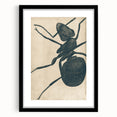 Intricate Grunge Ant Sketch - Vintage Insect Art for Modern Spaces