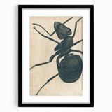 Intricate Grunge Ant Sketch - Vintage Insect Art for Modern Spaces