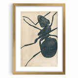 Intricate Grunge Ant Sketch - Vintage Insect Art for Modern Spaces