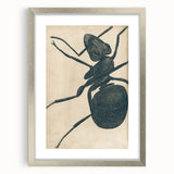 Intricate Grunge Ant Sketch - Vintage Insect Art for Modern Spaces