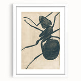 Intricate Grunge Ant Sketch - Vintage Insect Art for Modern Spaces