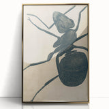 Intricate Grunge Ant Sketch - Vintage Insect Art for Modern Spaces
