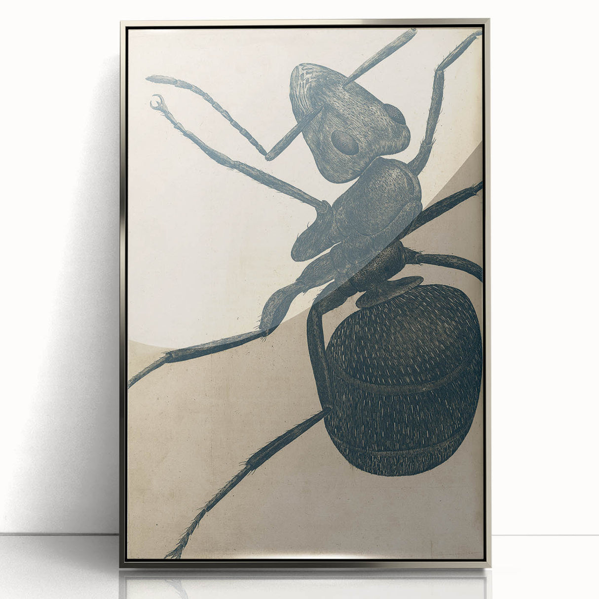 Intricate Grunge Ant Sketch - Vintage Insect Art for Modern Spaces