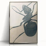 Intricate Grunge Ant Sketch - Vintage Insect Art for Modern Spaces