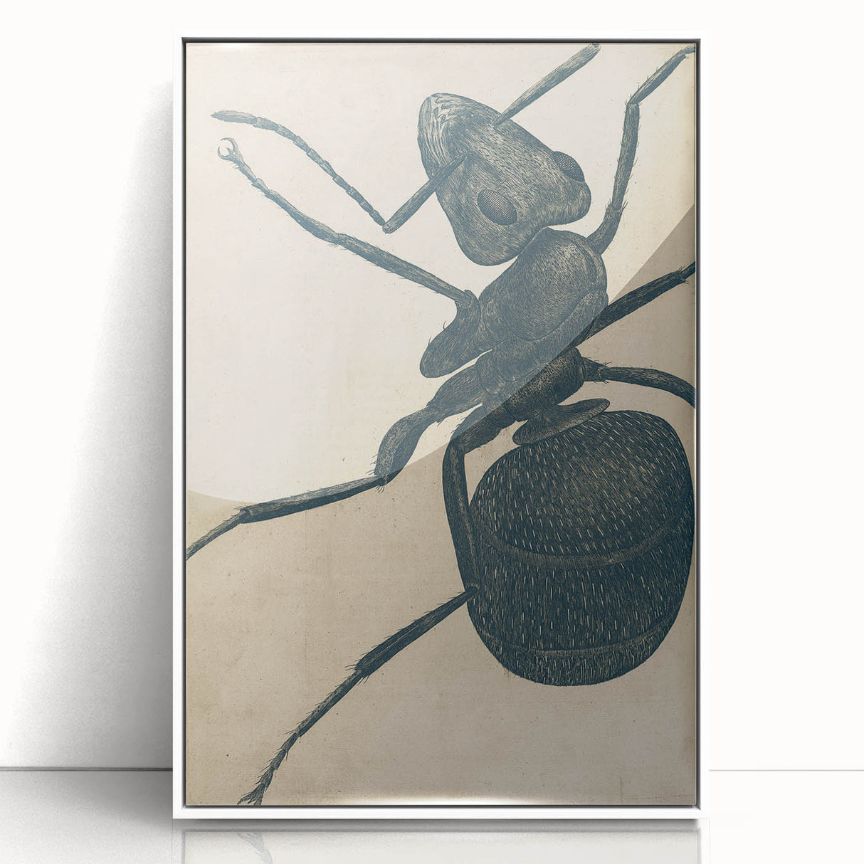 Intricate Grunge Ant Sketch - Vintage Insect Art for Modern Spaces