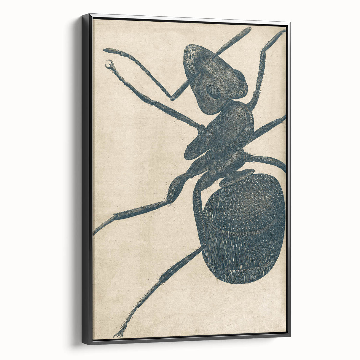 Intricate Grunge Ant Sketch - Vintage Insect Art for Modern Spaces