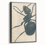 Intricate Grunge Ant Sketch - Vintage Insect Art for Modern Spaces