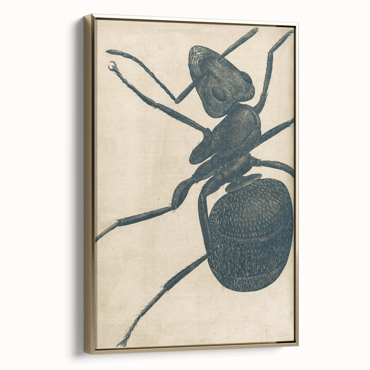 Intricate Grunge Ant Sketch - Vintage Insect Art for Modern Spaces