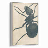 Intricate Grunge Ant Sketch - Vintage Insect Art for Modern Spaces