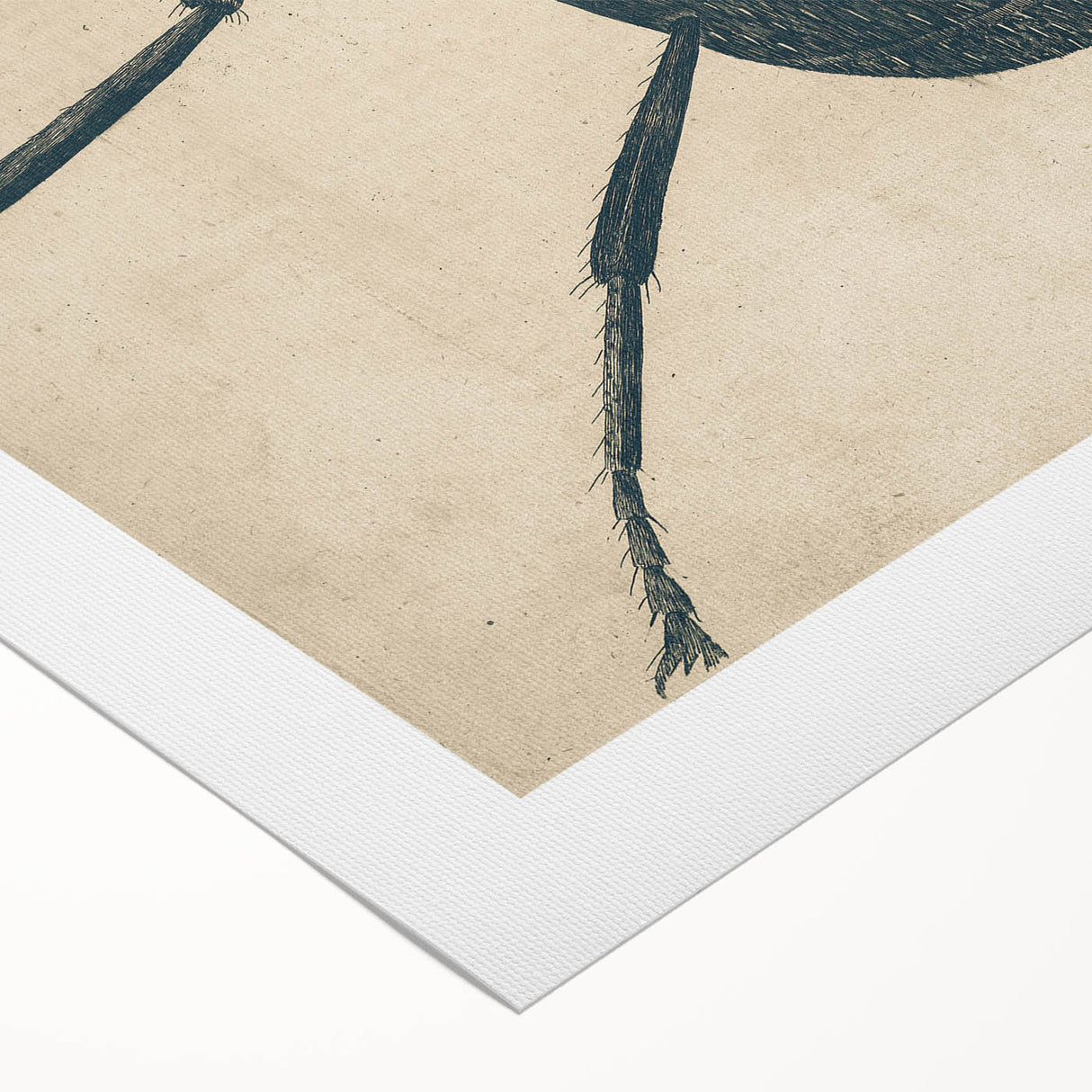 Intricate Grunge Ant Sketch - Vintage Insect Art for Modern Spaces