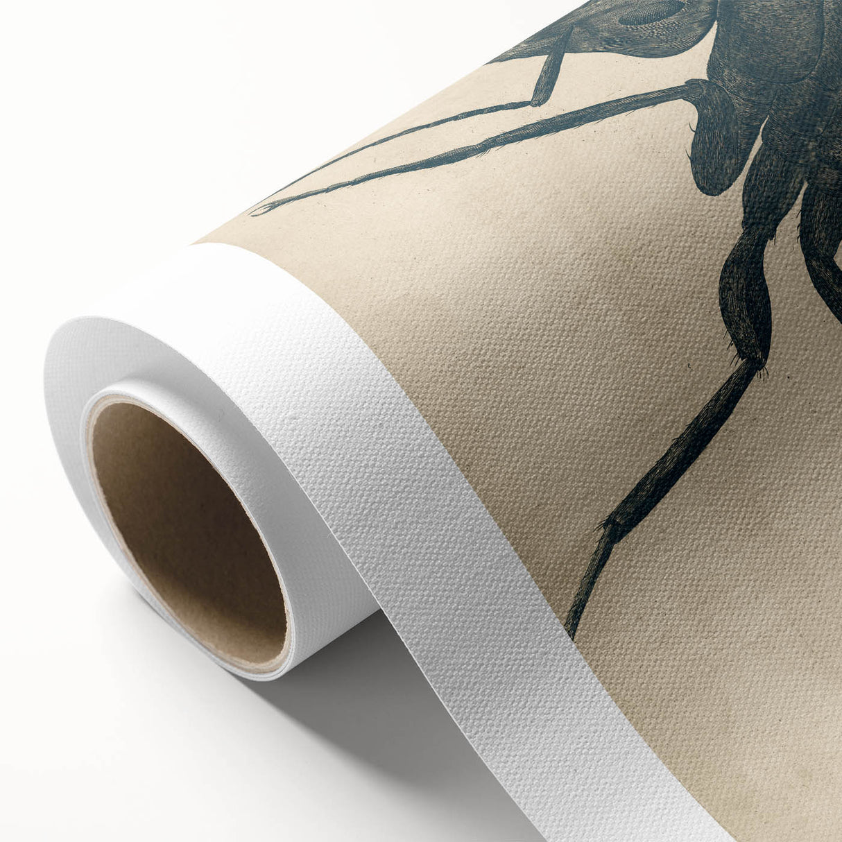 Intricate Grunge Ant Sketch - Vintage Insect Art for Modern Spaces
