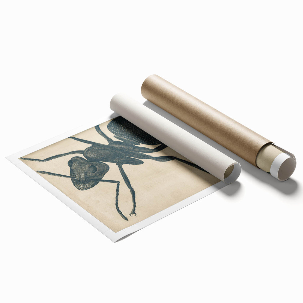 Intricate Grunge Ant Sketch - Vintage Insect Art for Modern Spaces