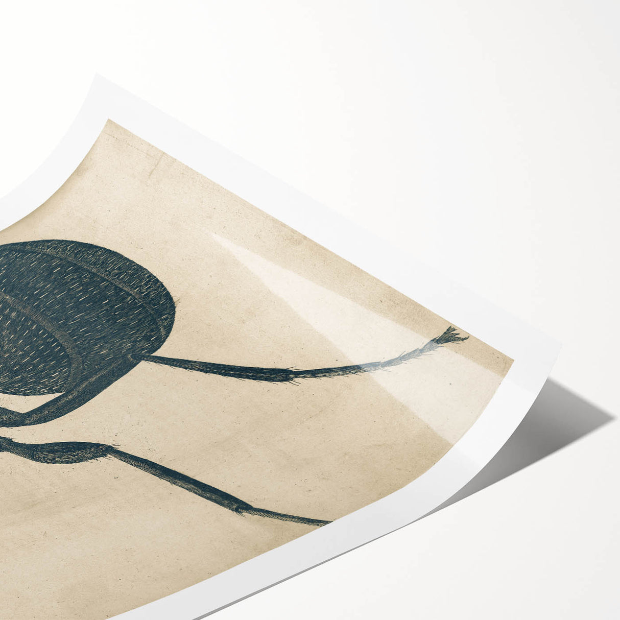 Intricate Grunge Ant Sketch - Vintage Insect Art for Modern Spaces