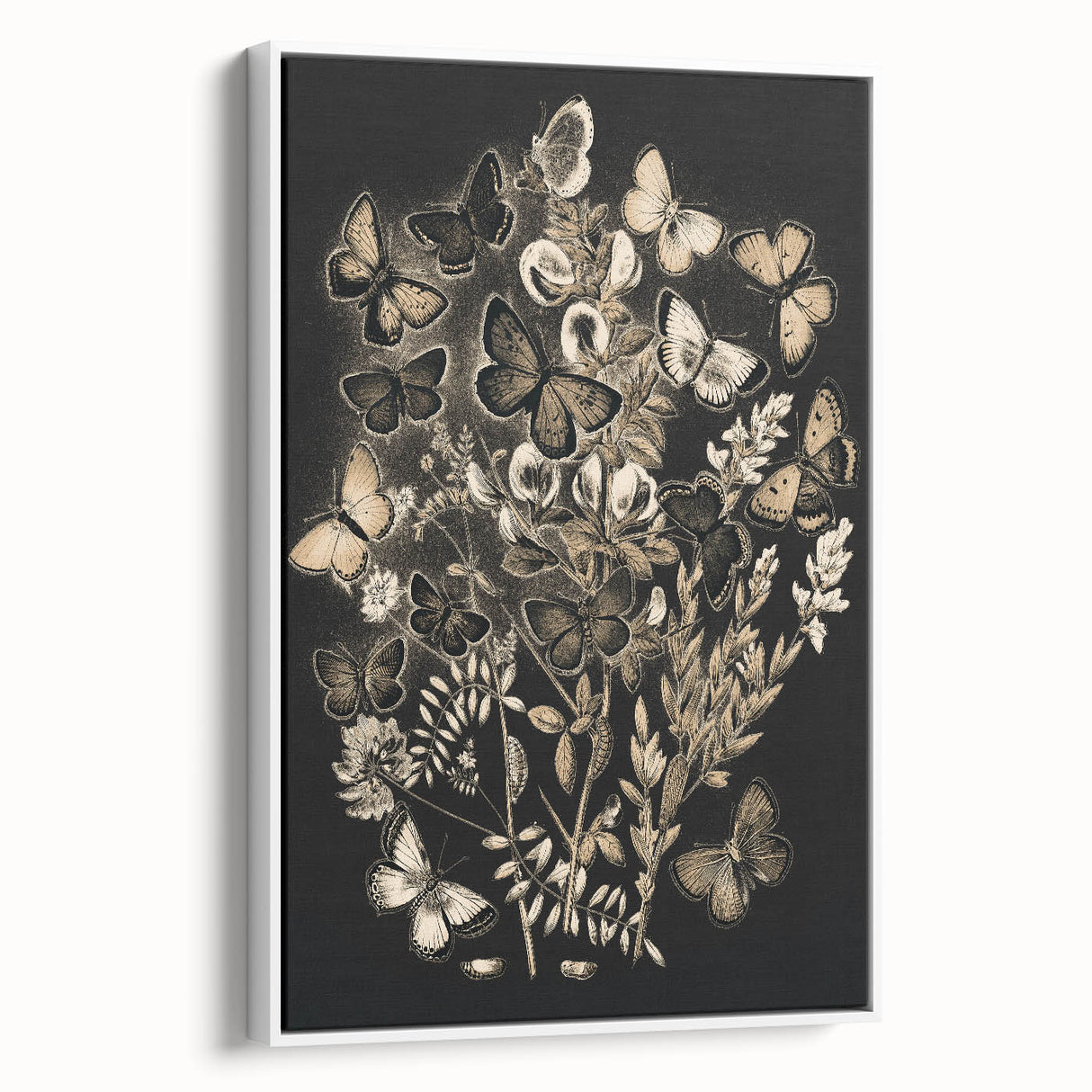 Abstract Grunge Butterfly Wall Art - Urban Grunge Aesthetic Canvas Print