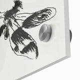 Grunge Insect Sketch Art Print - Abstract Dragonfly Canvas - Edgy Decor