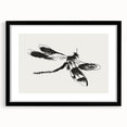 Grunge Insect Sketch Art Print - Abstract Dragonfly Canvas - Edgy Decor