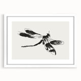 Grunge Insect Sketch Art Print - Abstract Dragonfly Canvas - Edgy Decor