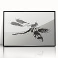 Grunge Insect Sketch Art Print - Abstract Dragonfly Canvas - Edgy Decor