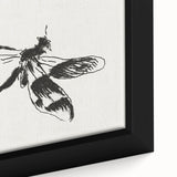 Grunge Insect Sketch Art Print - Abstract Dragonfly Canvas - Edgy Decor