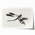 Grunge Insect Sketch Art Print - Abstract Dragonfly Canvas - Edgy Decor