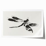 Grunge Insect Sketch Art Print - Abstract Dragonfly Canvas - Edgy Decor