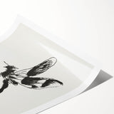 Grunge Insect Sketch Art Print - Abstract Dragonfly Canvas - Edgy Decor