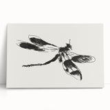 Grunge Insect Sketch Art Print - Abstract Dragonfly Canvas - Edgy Decor