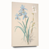 Maximalist Wall Art - Elegant Botanical Orchid Illustration for Home Decor