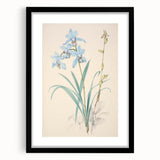Maximalist Wall Art - Elegant Botanical Orchid Illustration for Home Decor