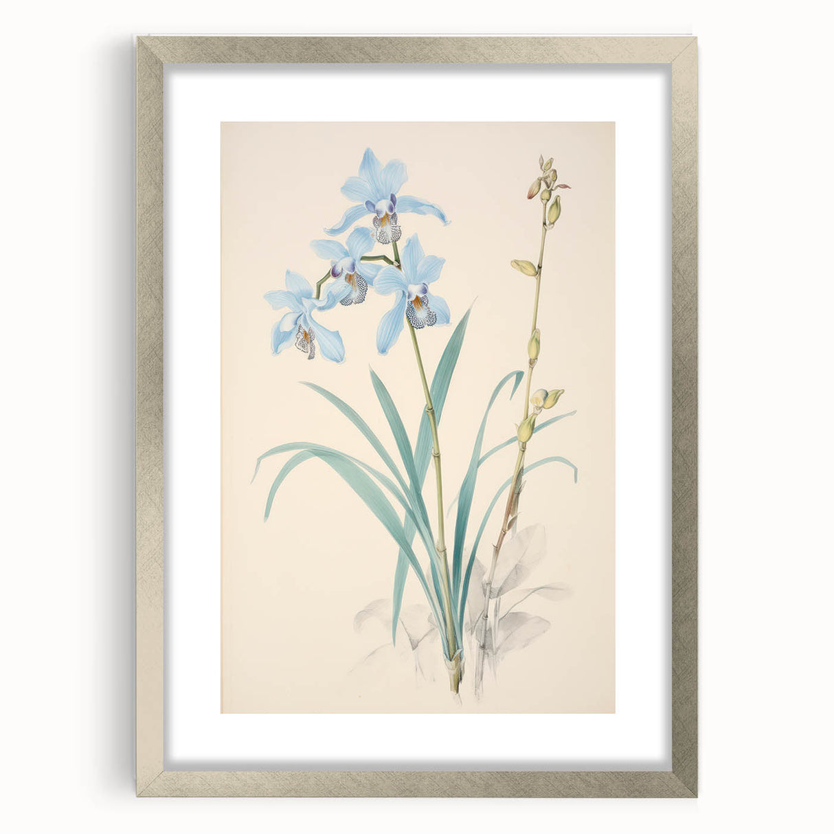Maximalist Wall Art - Elegant Botanical Orchid Illustration for Home Decor