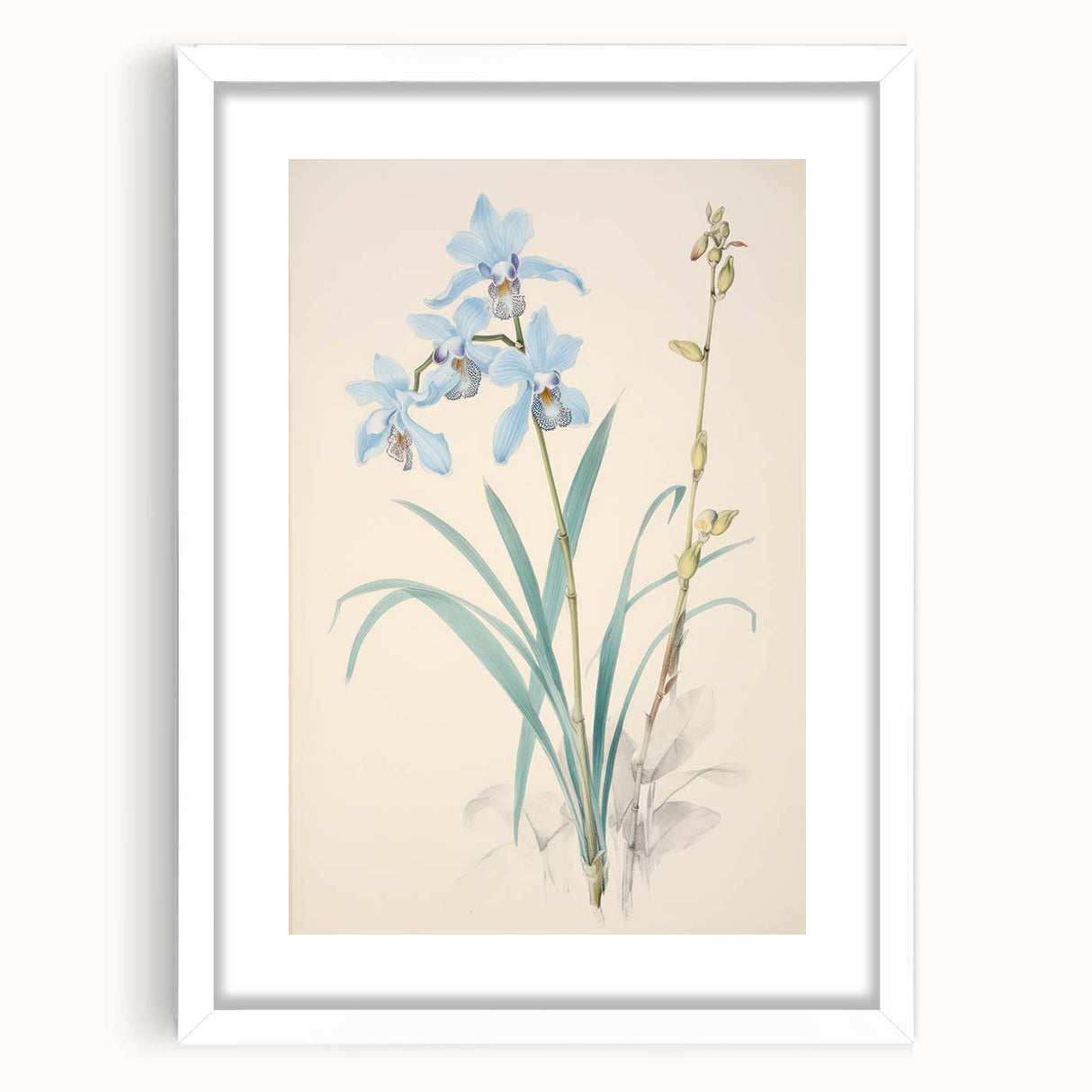 Maximalist Wall Art - Elegant Botanical Orchid Illustration for Home Decor