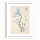 Maximalist Wall Art - Elegant Botanical Orchid Illustration for Home Decor