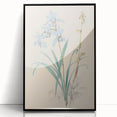 Maximalist Wall Art - Elegant Botanical Orchid Illustration for Home Decor