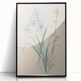 Maximalist Wall Art - Elegant Botanical Orchid Illustration for Home Decor