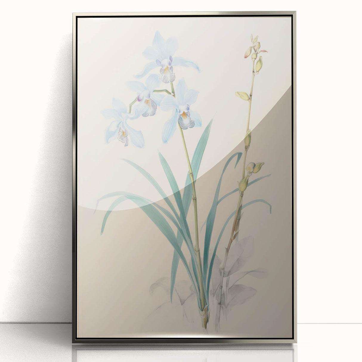Maximalist Wall Art - Elegant Botanical Orchid Illustration for Home Decor