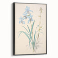 Maximalist Wall Art - Elegant Botanical Orchid Illustration for Home Decor