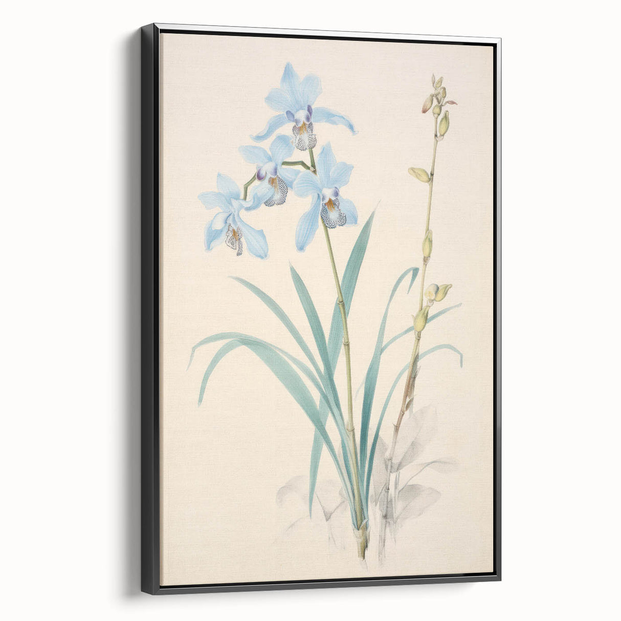 Maximalist Wall Art - Elegant Botanical Orchid Illustration for Home Decor