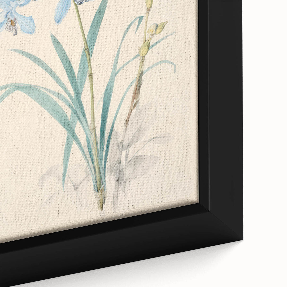 Maximalist Wall Art - Elegant Botanical Orchid Illustration for Home Decor