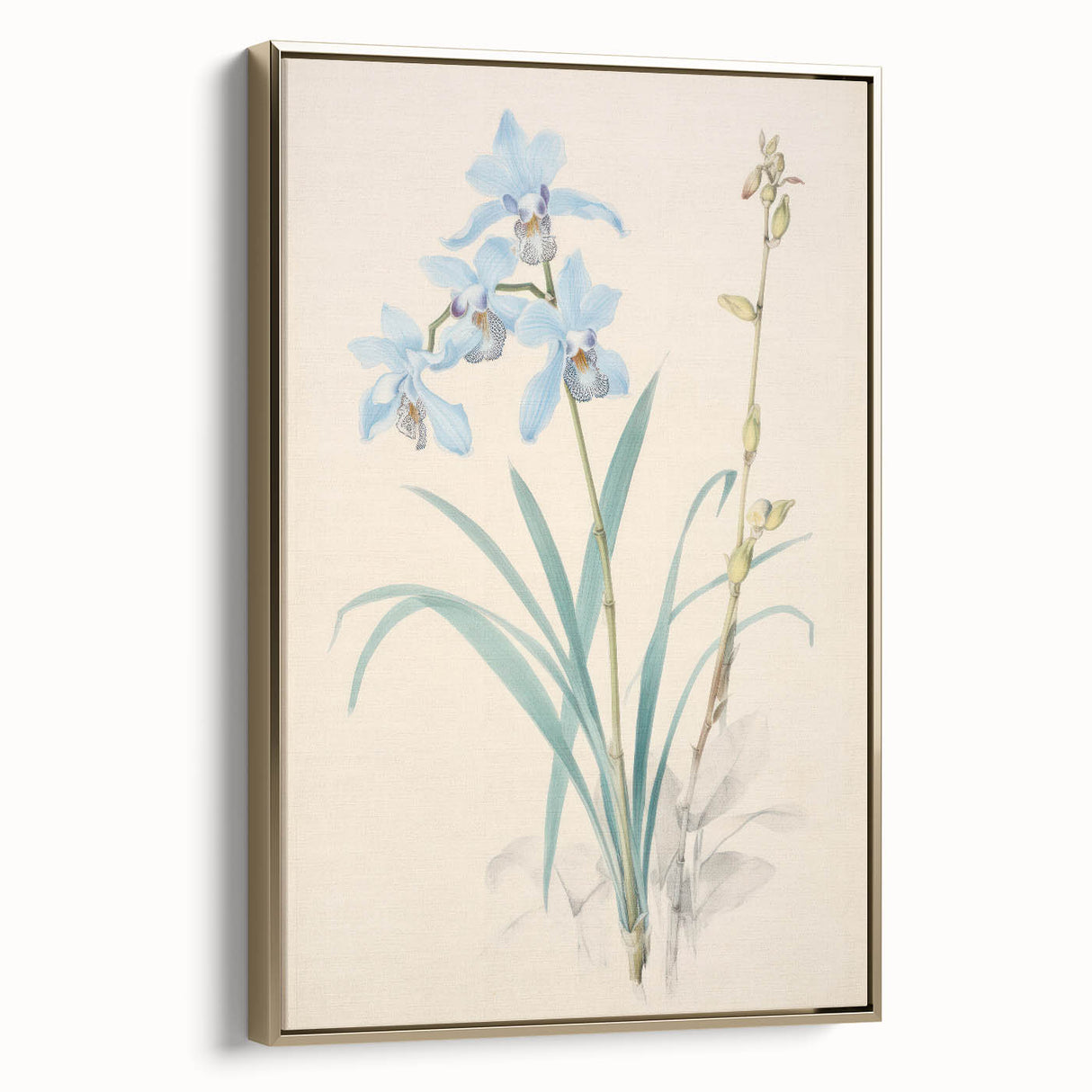Maximalist Wall Art - Elegant Botanical Orchid Illustration for Home Decor