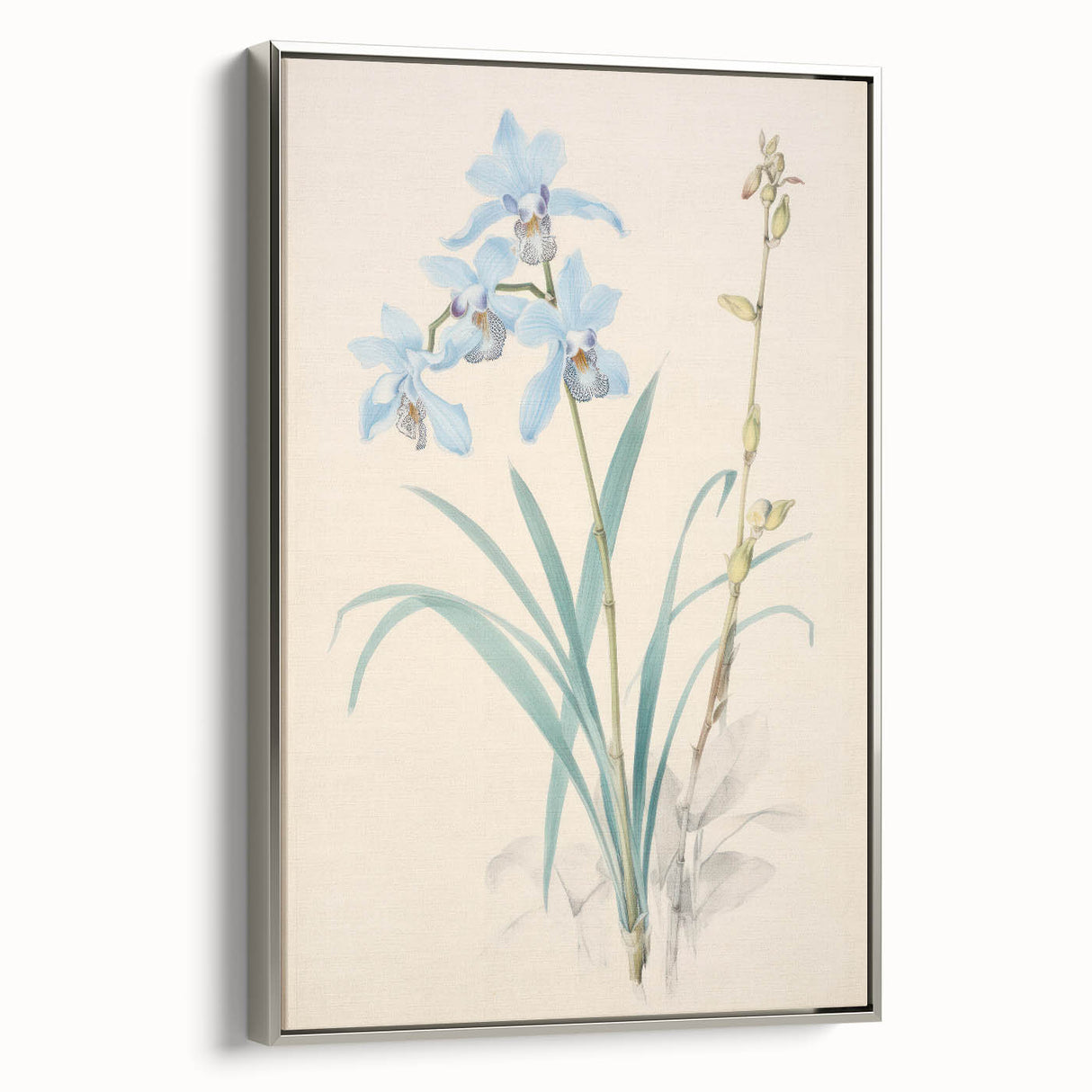 Maximalist Wall Art - Elegant Botanical Orchid Illustration for Home Decor
